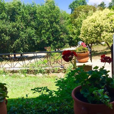 Διαμέρισμα Στην Περιοχή Εθνικής Αντίστασης Daire İgumeniça Dış mekan fotoğraf